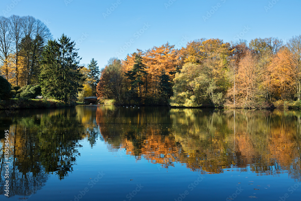 Colorful Tree Reflection Colorful Tree Reflection