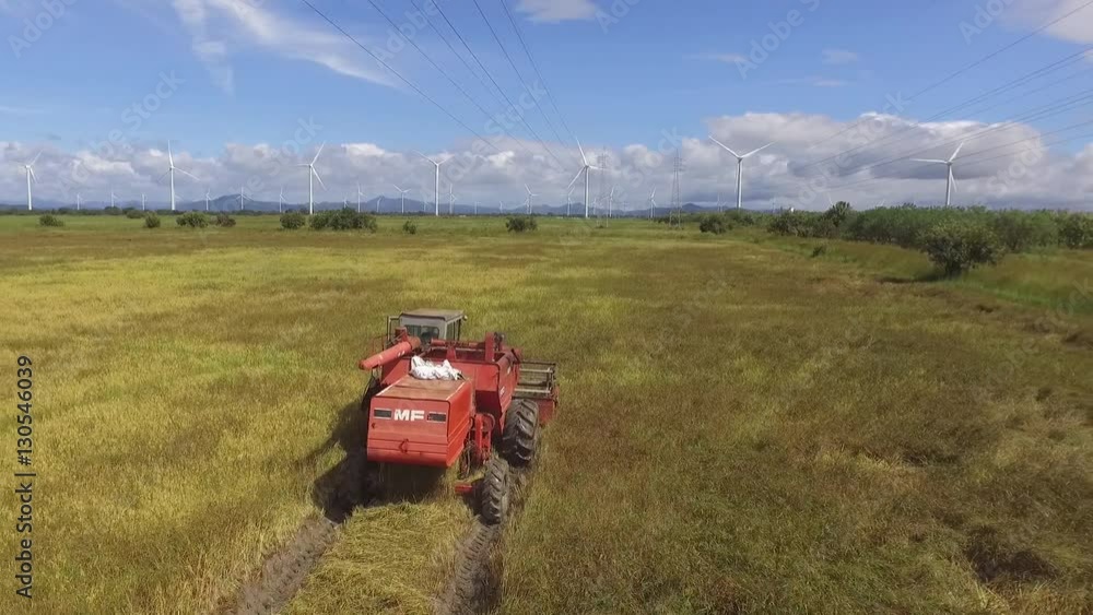 Combine machine harvesting rice in a rice field near a wind turbine farm in the heartland of Panama Combine machine harvesting rice in a rice field near a wind turbine farm in the heartland of Panama