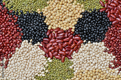 Fotografie Various multicolor dried legumes beans for background