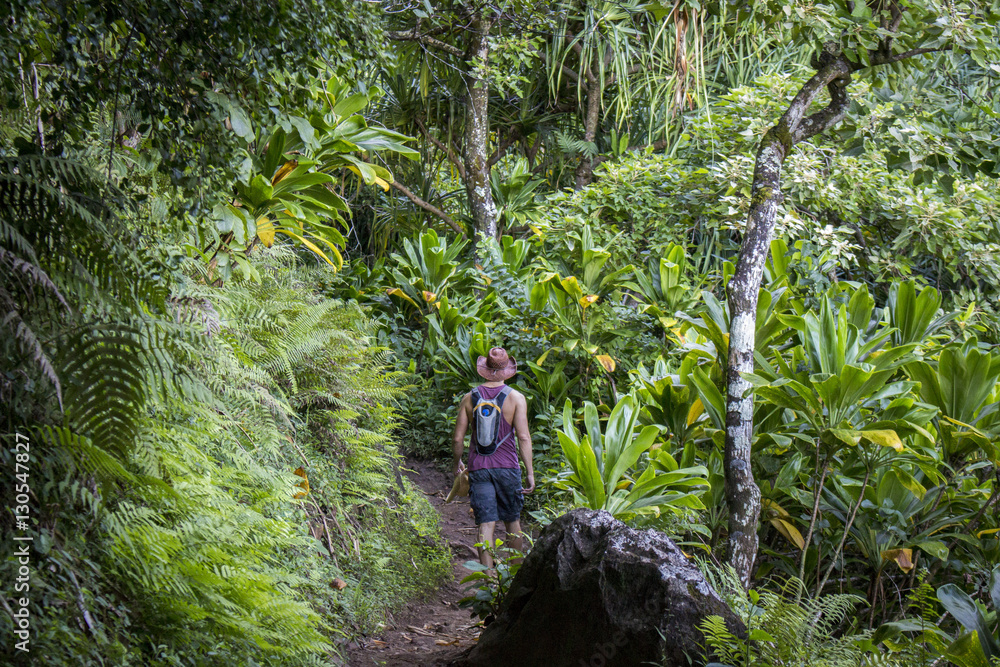 Hiking Kalaulau Trail on Kauai