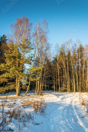 Wallpaper Mural Beautiful Russian landscape in the setting sun. Torontodigital.ca