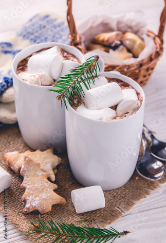 Hot chocolate with marshmallows and cookies © maryviolet