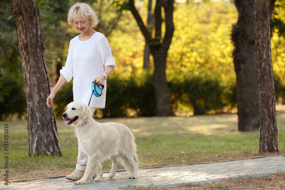 Senior woman walking with dog in park Senior woman walking with dog in park