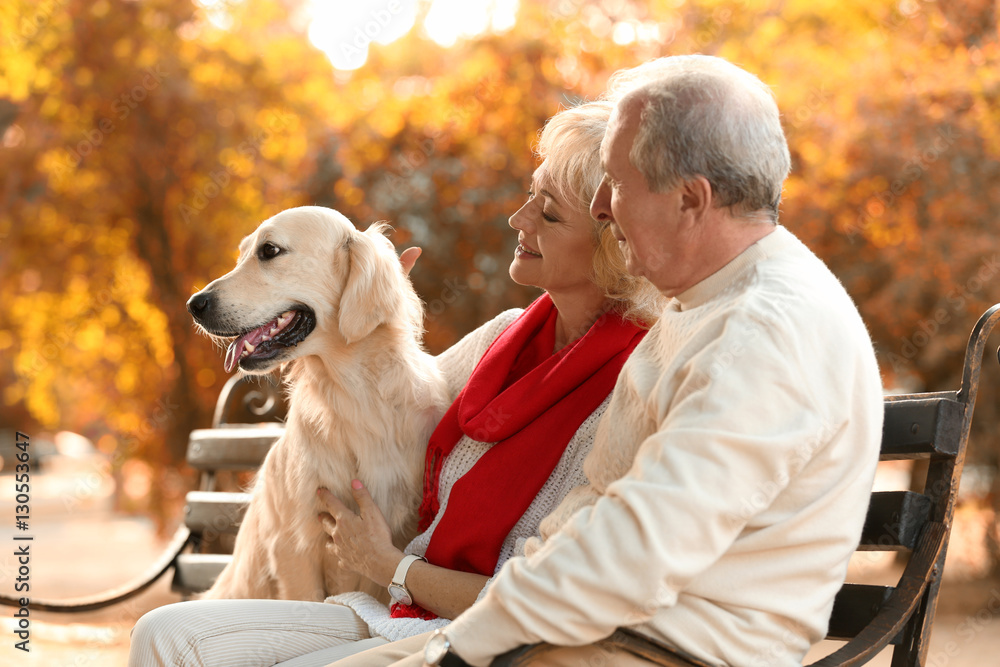 Senior couple and big dog sitting on bench in park Senior couple and big dog sitting on bench in park