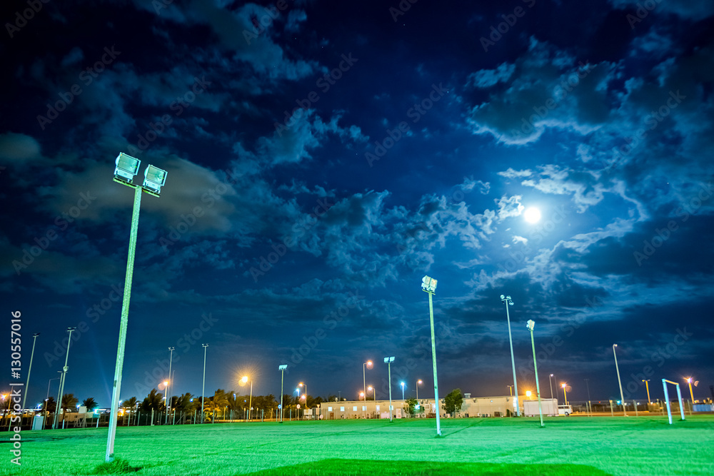 Naklejka premium moon field