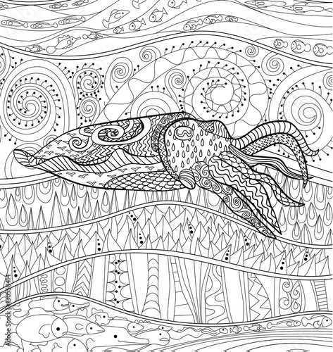 Cuttlefish with high details.