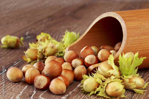 the handful of hazelnuts