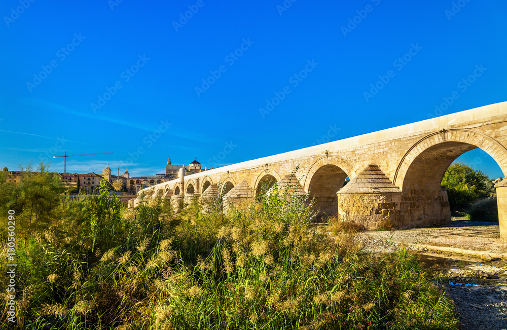 Roman Bridge above the Guadalquivir river in Cordoba, Spain