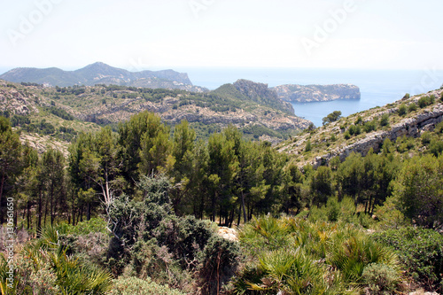 Sa dragonera Island, Mallorca, Spain photo