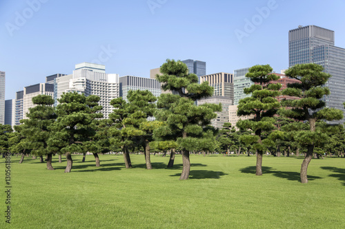 Beautiful green park garden with city view inTokyo, Japan © BGStock72