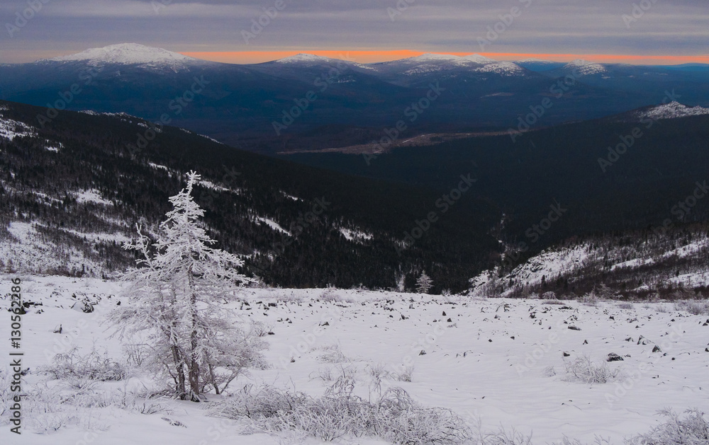 Trees on snowcapped mountains against sky Trees on snowcapped mountains against sky