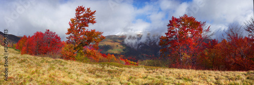 red and auburn autumn on the mountain tops photo