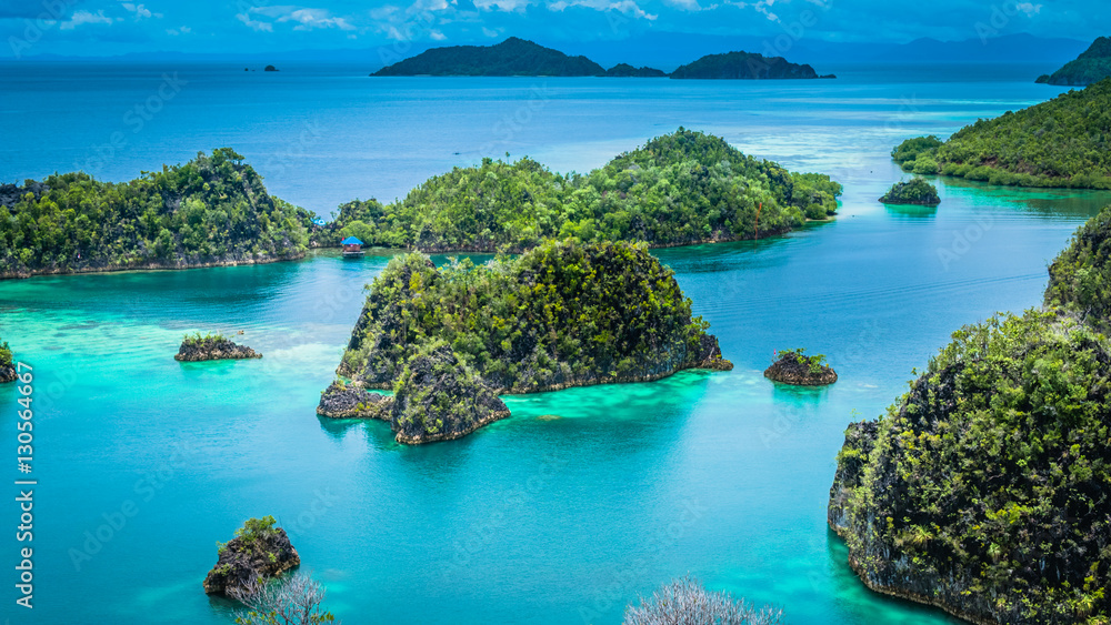 Painemo Island, Blue Lagoon, Raja Ampat, West Papua, Indonesia Painemo Island, Blue Lagoon, Raja Ampat, West Papua, Indonesia