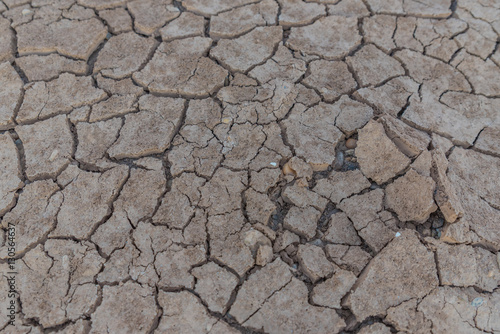 Cracked clay ground into the dry season