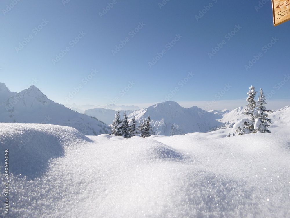 Fototapeta premium Winterwonderland