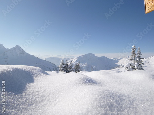 Wallpaper Mural Winterwonderland Torontodigital.ca