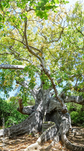 Hofi Pastor Nature Park © Gail Johnson