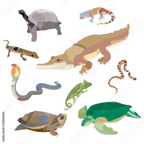 Reptiles and amphibians decorative set of cobra crocodile turtle snail scorpion crab icons in cartoon style isolated vector illustration