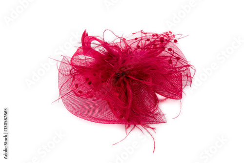 Photography Women in red hat with a veil