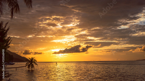 Stand up paddler SUP on Sunset, Kri Island. Raja Ampat, Indonesia, West Papua photo