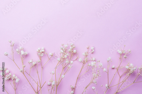 Three dry twigs with small white flowers on a pink background. Minimalism.