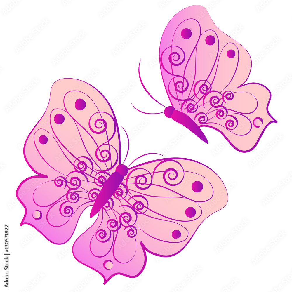 color butterflies,isolated on a white color butterflies,isolated on a white