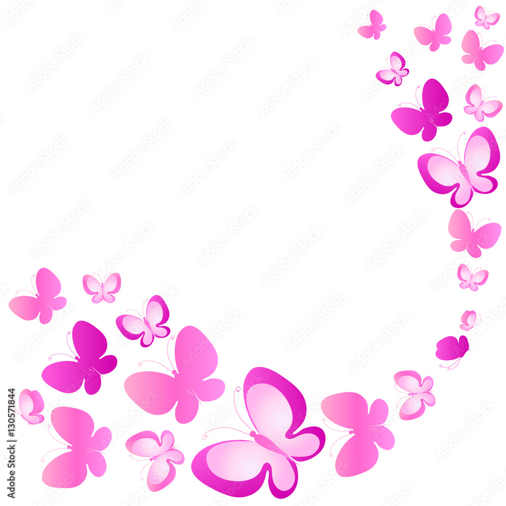 color butterflies,isolated on a white color butterflies,isolated on a white