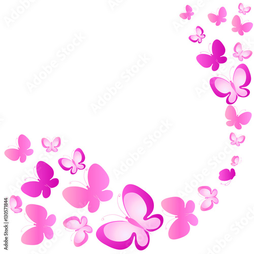 color butterflies,isolated on a white