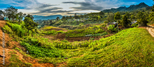Fields with harvest © michalknitl