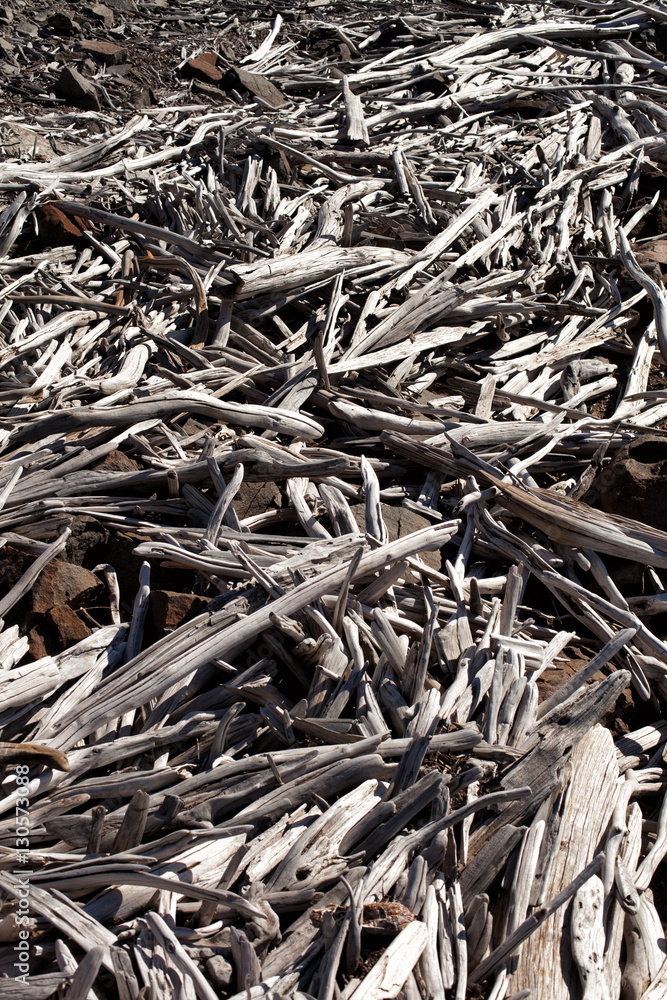 Pieces of driftwood