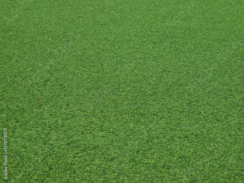 Texture of fresh green grass