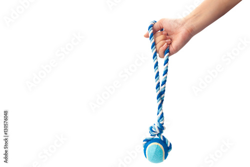 Hand holding a blue color dog rope. isolated on white background with clipping path and copy space