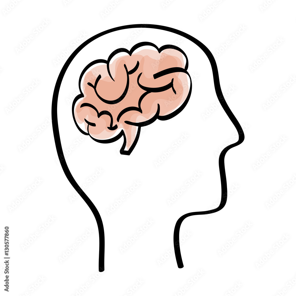 Human brain and head silhouette icon vector illustration graphic design Human brain and head silhouette icon vector illustration graphic design