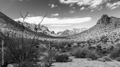 Summit Canyon in the Kofa Wilderness in Black and White photo