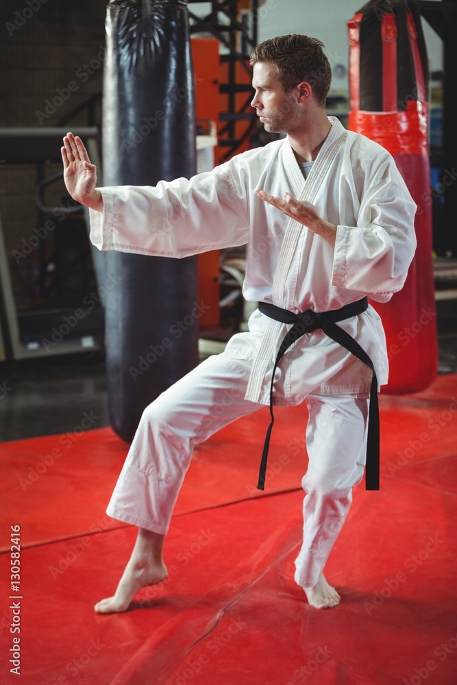 Karate player performing karate stance Karate player performing karate stance