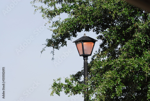 street lamp outdoor with green tree