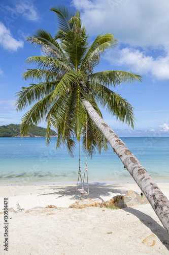 Beautiful tropical beach, palm tree and sea water in island Koh Phangan , Thailand