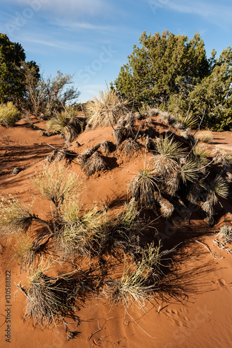 Tsegi Overlook at Canyon de Chelley, AZ, USA photo