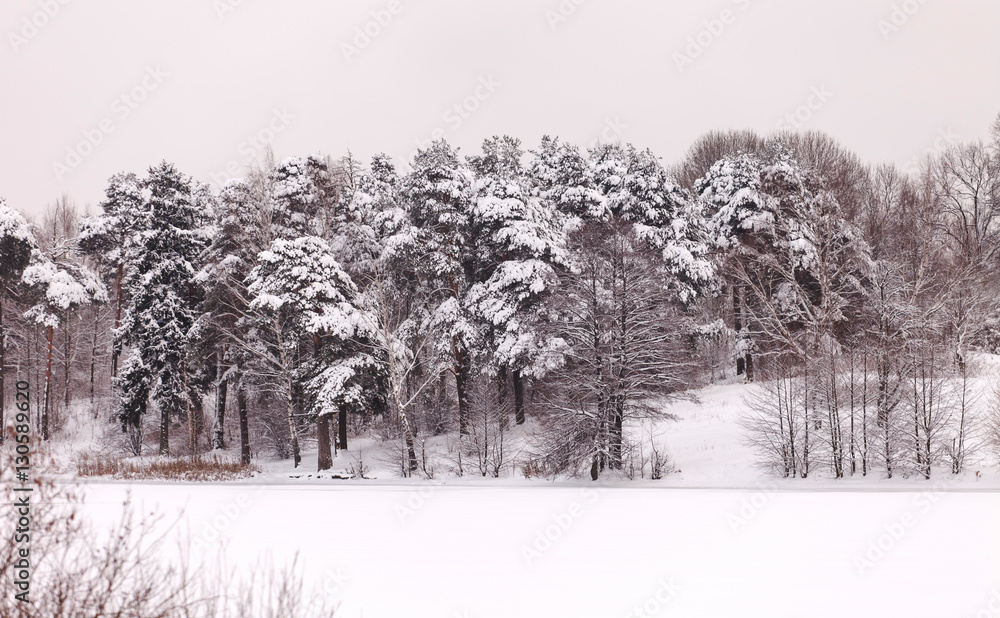 custom made wallpaper toronto digitalnice winter