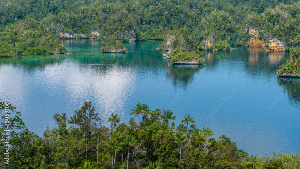 Many Rocks covered by Palmtrees in Passage between Gam and Waigeo, View Point near Warikaf Homestay. West Papuan, Raja Ampat, Indonesia