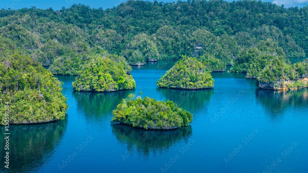 Many Rocks covered by Palmtrees in Passage between Gam and Waigeo, View Point near Warikaf Homestay. West Papuan, Raja Ampat, Indonesia Many Rocks covered by Palmtrees in Passage between Gam and Waigeo, View Point near Warikaf Homestay. West Papuan, Raja Ampat, Indonesia
