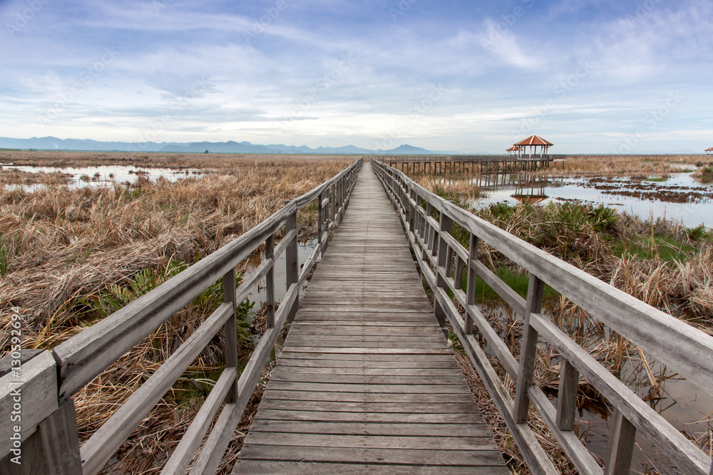 wooden bridge stretches across the dry grasslands