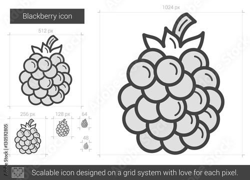 Blackberry line icon.