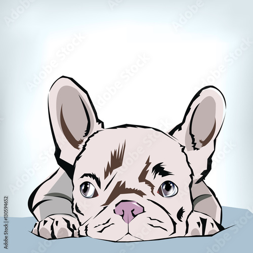 dog vector breed cute pet animal bulldog