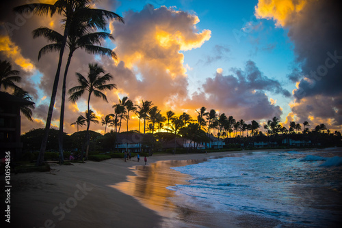 Morning Palms