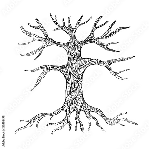 Ornate bare tree trunk with roots