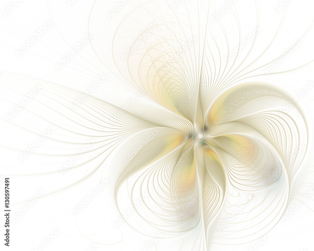 Abstract delicate flower on a white background Abstract delicate flower on a white background