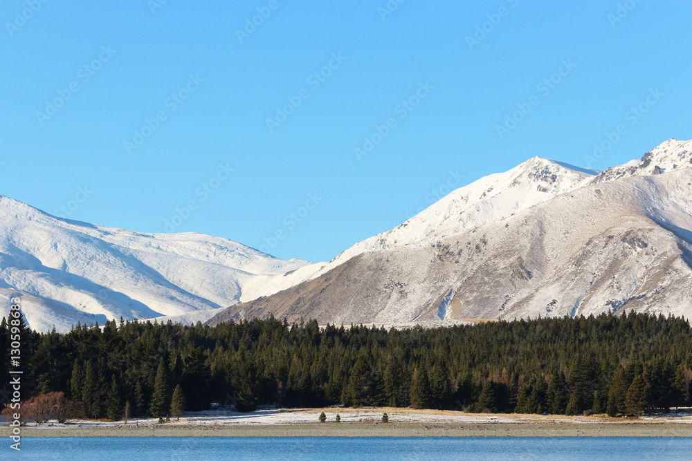 Obraz premium Snow covered mountains with forest
