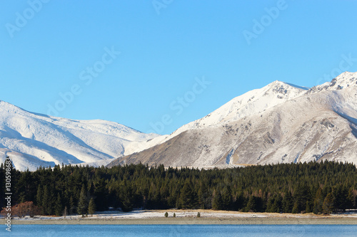 Snow covered mountains with forest