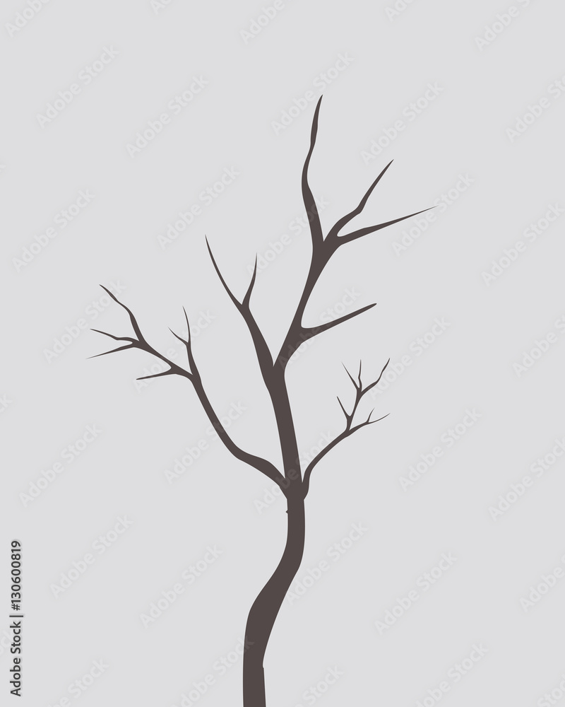 Fototapeta premium dry tree with out leafs vector branches
